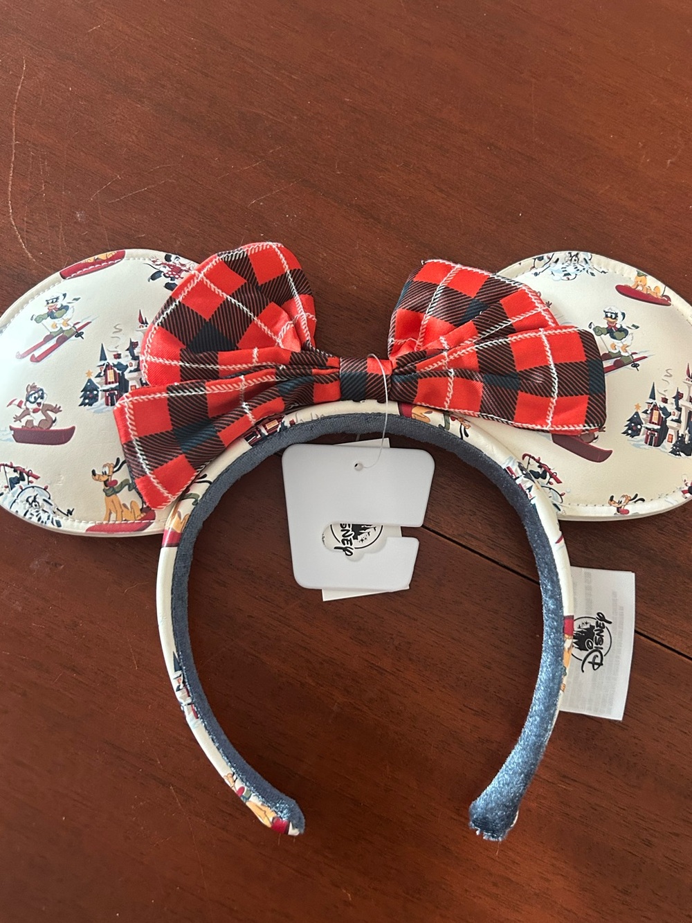 Lodge and Snow Mickey Ears